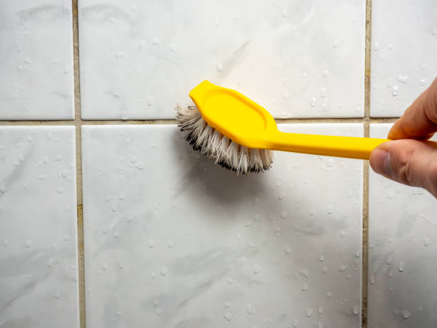 Best Black Mold Removal  in Northern Cambria, PA