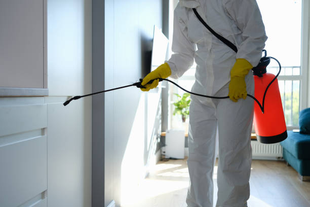 Best Commercial Mold Removal  in Northern Cambria, PA
