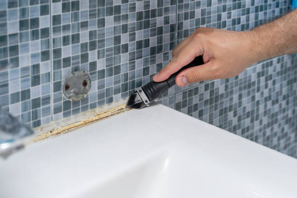 Best Mold Removal and Inspection  in Northern Cambria, PA